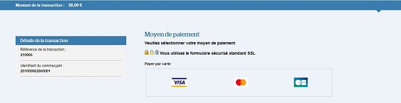 illustration graphique choix du mode de paiement